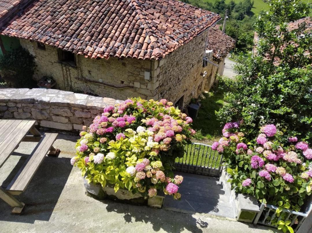 La Xiana Guest House Taranes Екстериор снимка